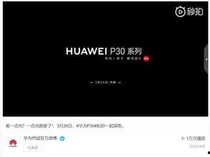 黑暗视频爆料官方下载,官方下载背后的真相与争议 第3张 黑暗视频爆料官方下载,官方下载背后的真相与争议 第3张